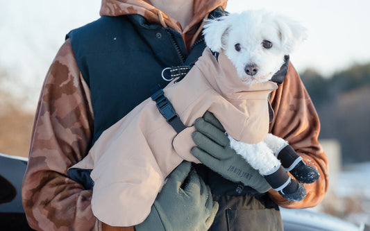 Koiran ulkoiluvaatteet – mitä, milloin ja kenelle? - RUFFY