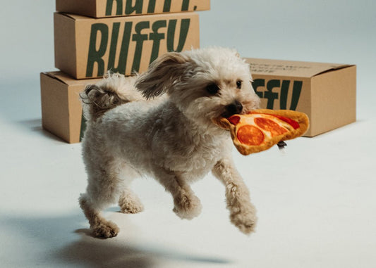 Pääsiäismunajahti on täällä – löydä alennukset verkkokaupastamme! - RUFFY