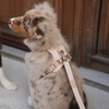 Elma dog harness, light rose
