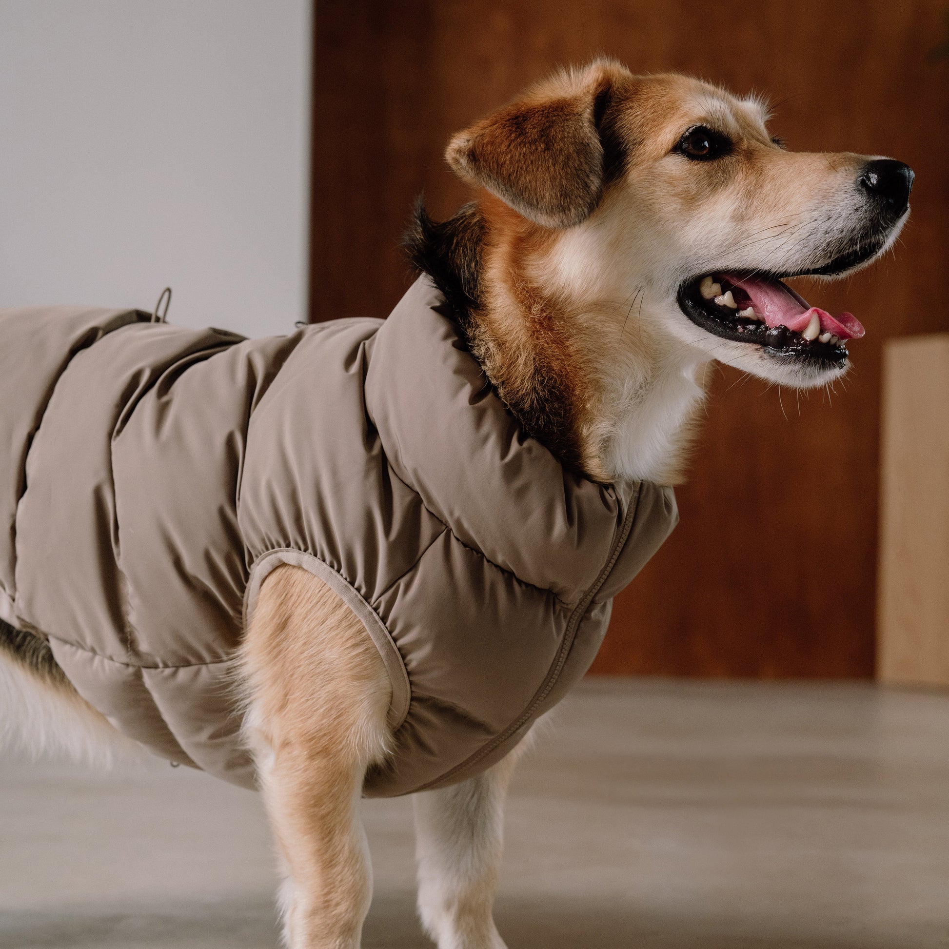 CushyCushy koiran puffer liivi