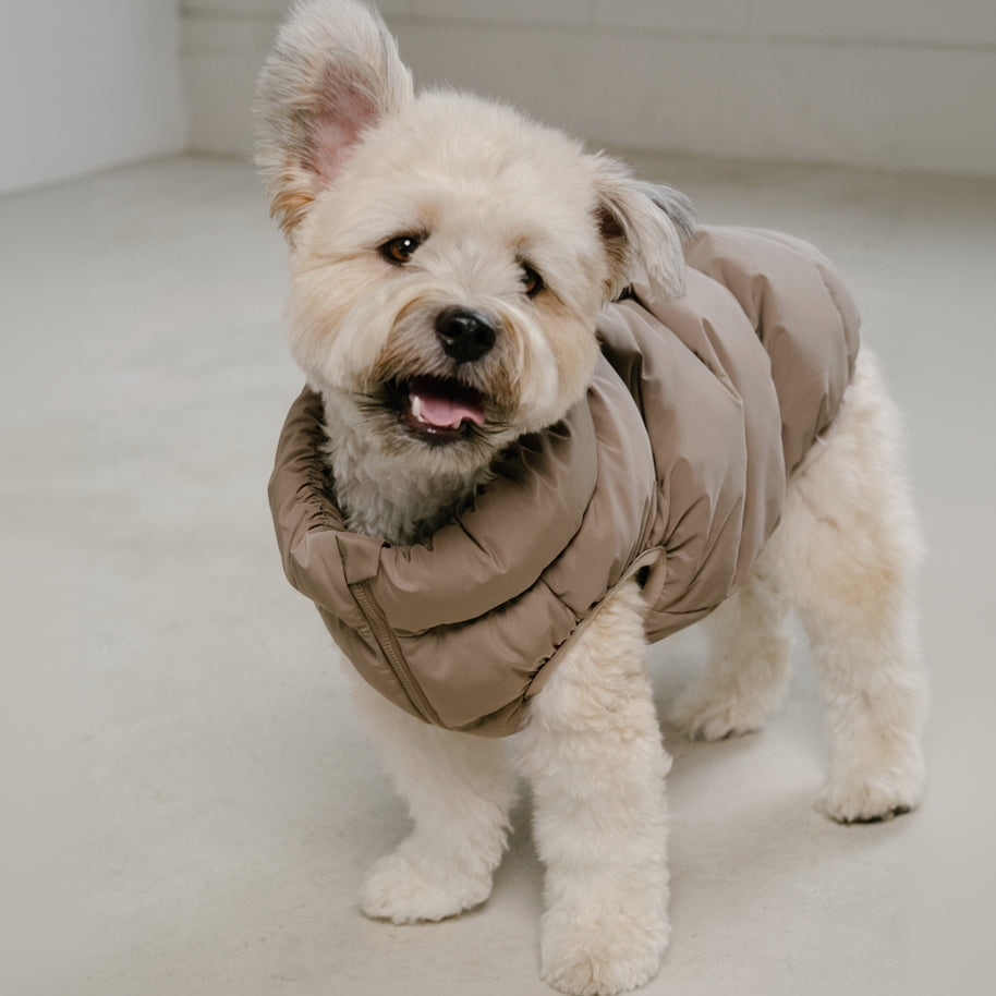 CushyCushy koiran puffer liivi