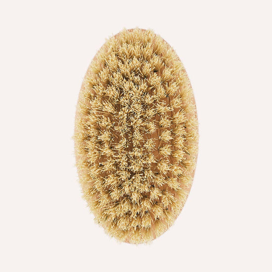 CAFIDE Teo-harja lyhytkarvaiselle koiralle