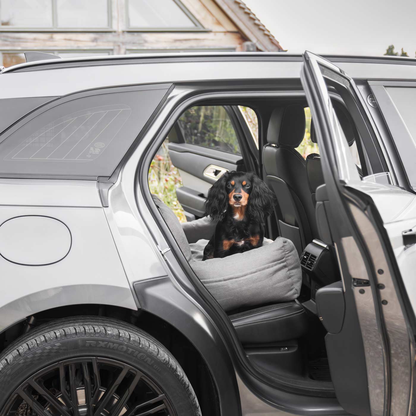 Autopeti koiralle, vaaleanharmaa