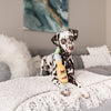 Tropical Paradise Canine Cerveza dog toy