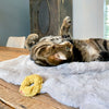 Mini Donuts Cat Toy Set