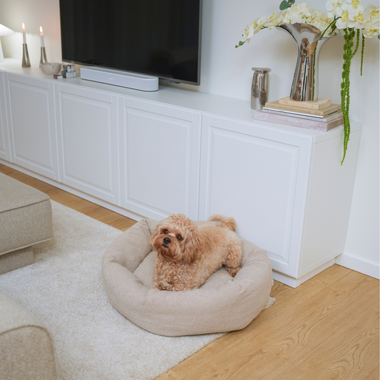 Luna 3.0 dog bed, oat bouclé