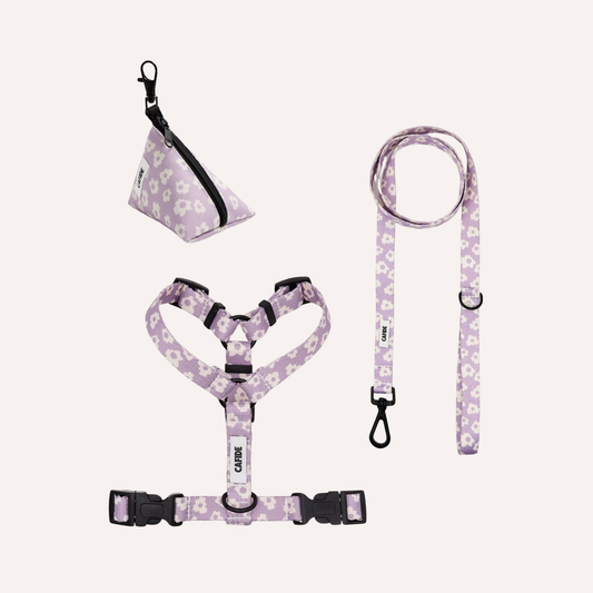 Juno Walk Bundle, violet
