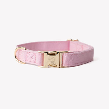 Canvas dog collar, light pink
