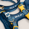 Dog harness, blue & yellow