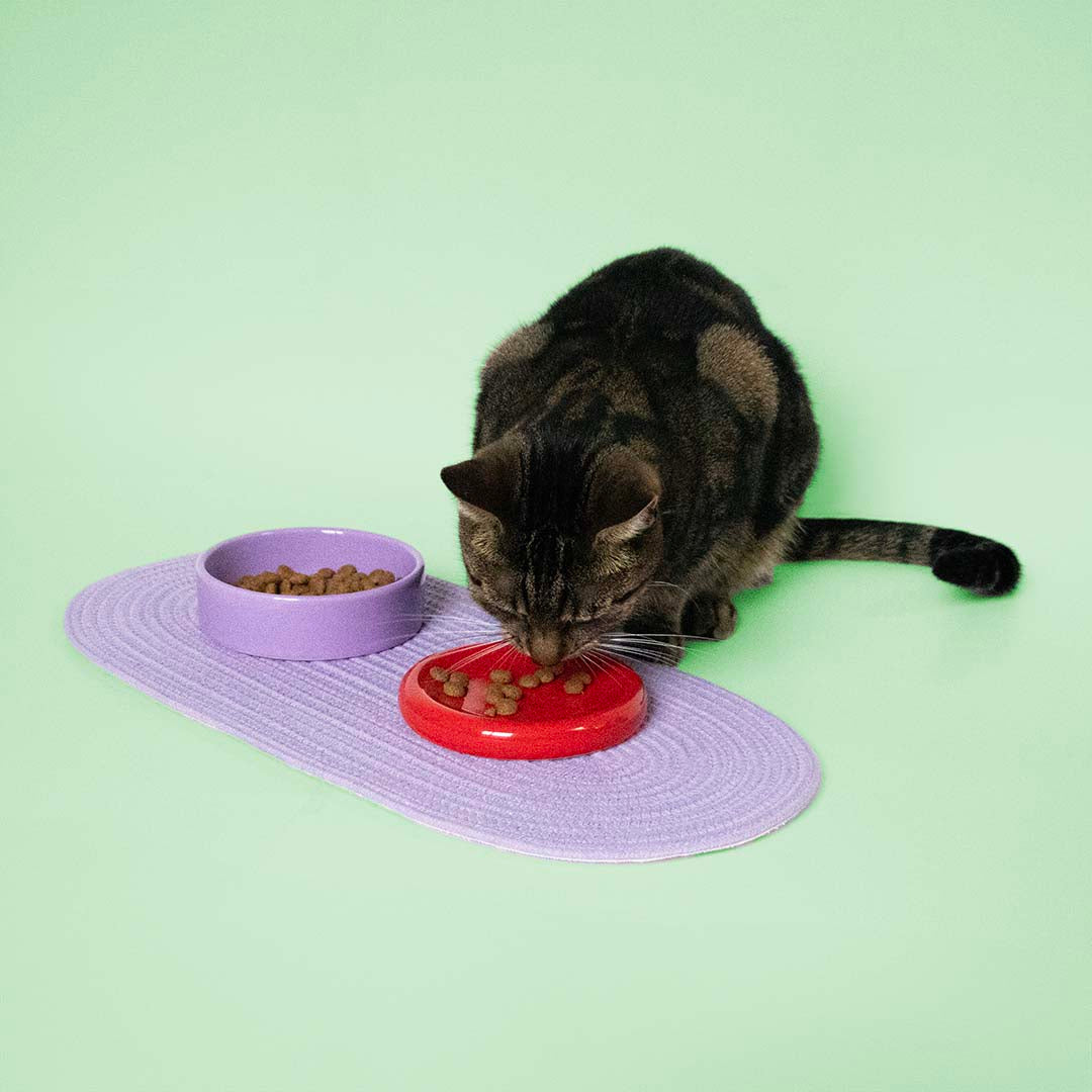 Funky Feeding -ruoka- ja juomakuppi, punainen ja violetti