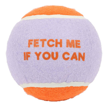 Fetch Me -tennispallo XL