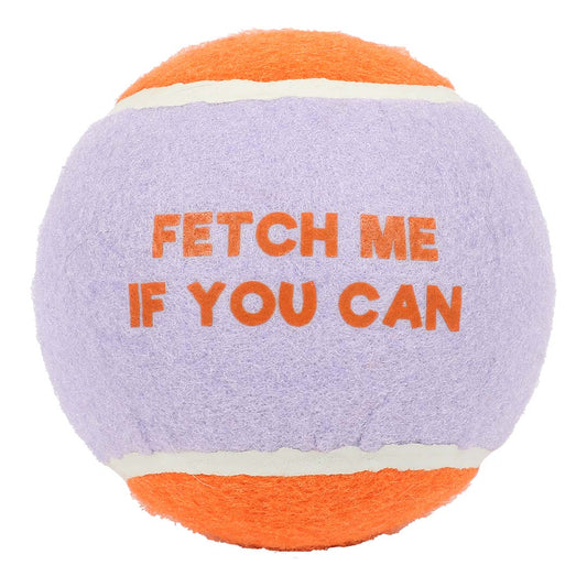 Fetch Me -tennispallo XL