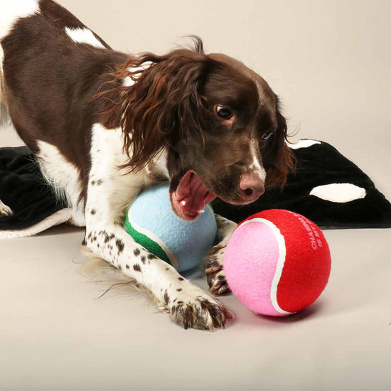 Hands off my Balls -tennispallo XL