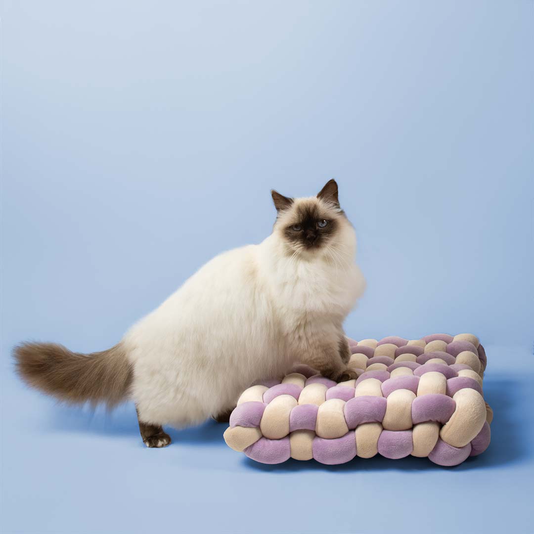 Makoilualusta, lila-beige