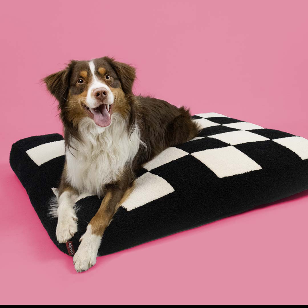 Cozy Block -peti, musta-valkoinen