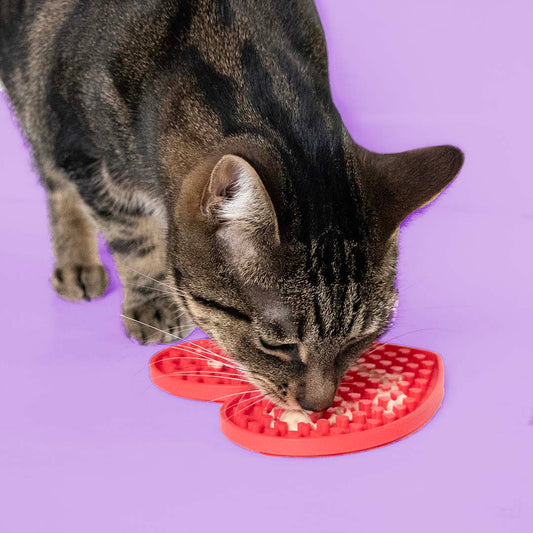 Cupid's Cravings lick mat