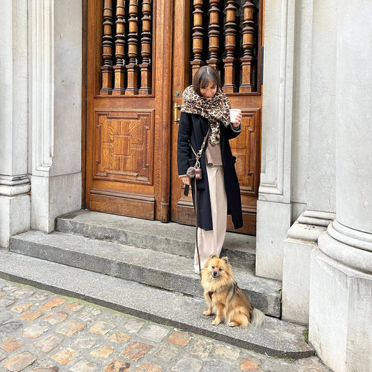 Hands-free leash, brown