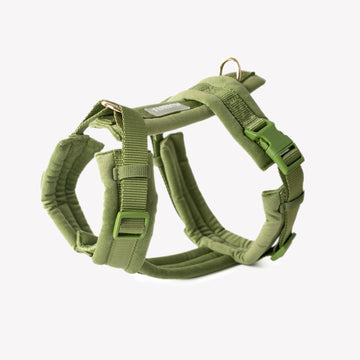 Padded Harness, green