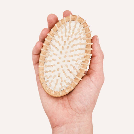 CAFIDE Teo hierova harja koiralle