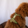 Padded Harness, green