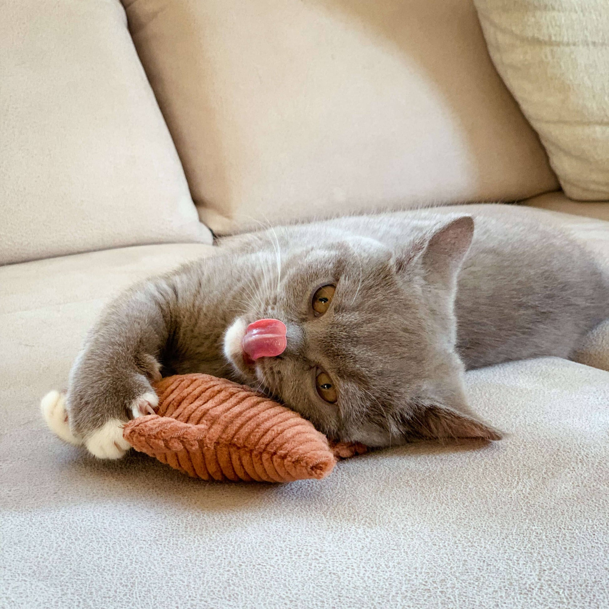 The Catery kissanminttulelu, tähti