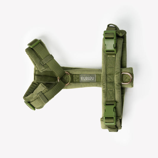Padded Harness, green