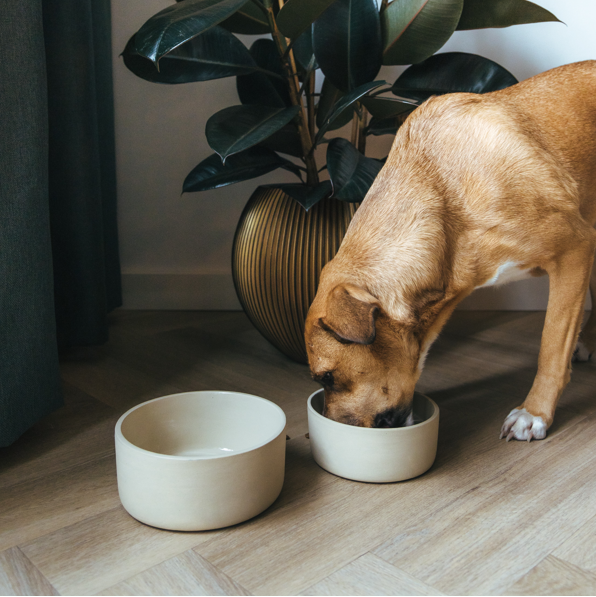 Fennec -keraaminen ruokakulho