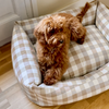 Snozy dog bed, checkered
