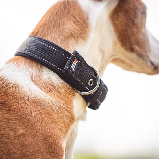 Rukka Pets pehmustettu kaulapanta koiralle