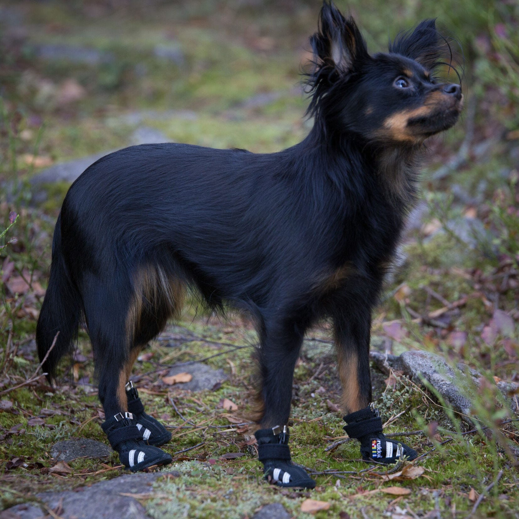 Rukka Pets Step Shoes – Mustat koirankengät 4 kpl