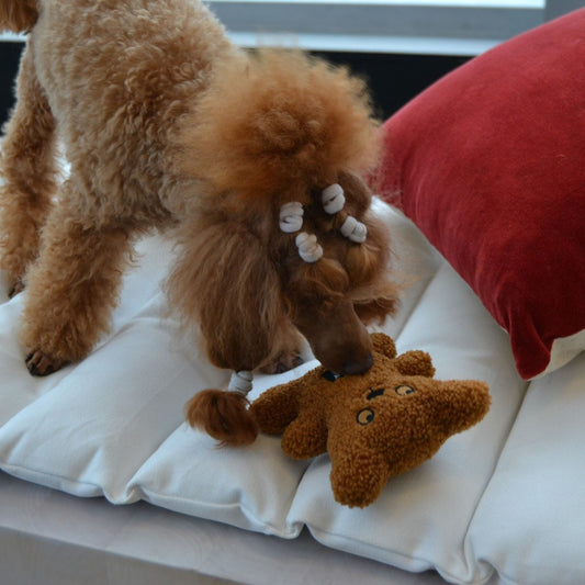 Rukka Pets Teddy Toy – Vinkuva pehmokaveri koiralle