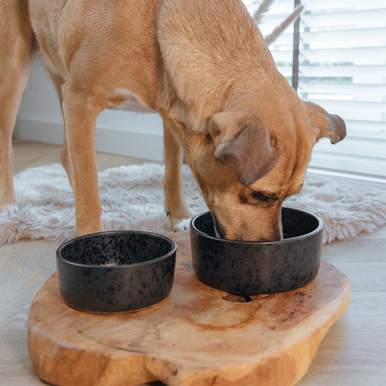 Wolf -keraaminen ruokakulho