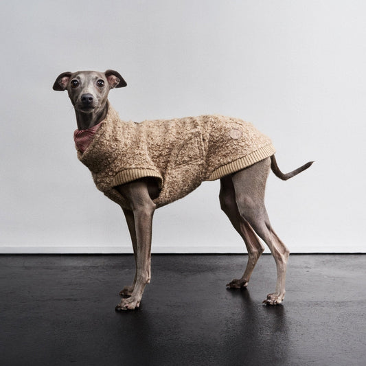 CLOUD7 Gotland -koiran pusero, hiekka