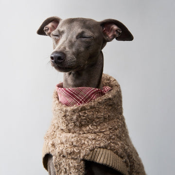 CLOUD7 Gotland -koiran pusero, hiekka