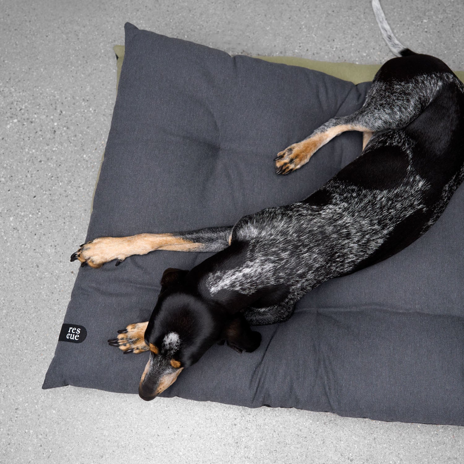 RESC7UE -koiran makuualusta