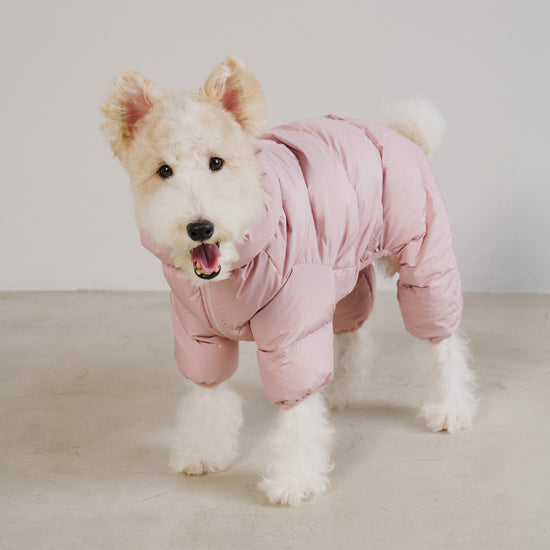 CushyCushy koiran haalari