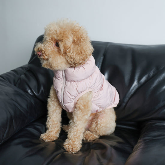 CushyCushy pufferi, vaaleanpunainen