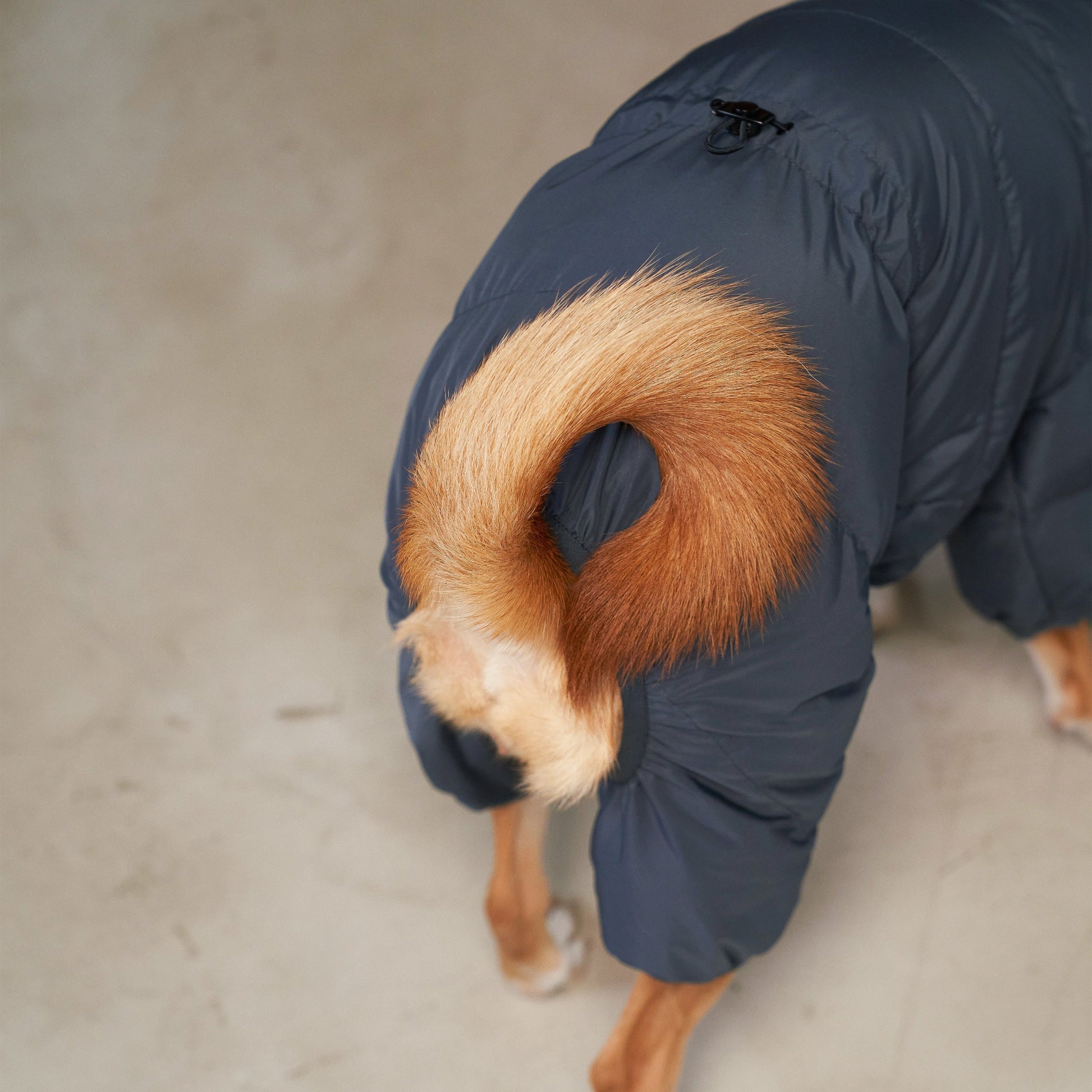 CushyCushy musta koiran puffer haalari