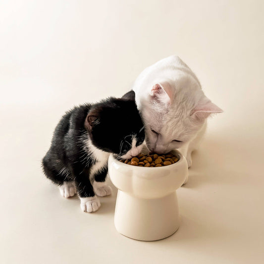 Korotettu ruokakuppi kissalle