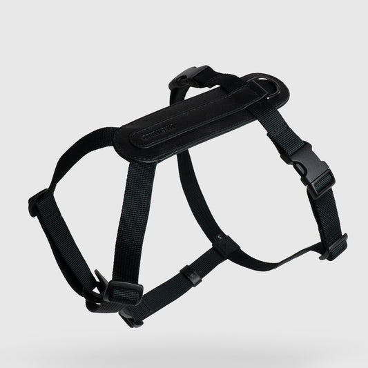 Masimalo koiran valjaat, musta