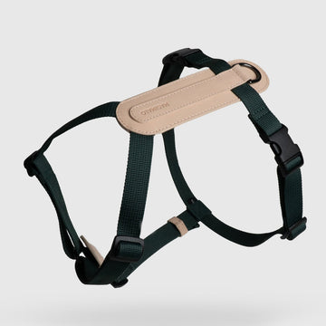 Masimalo koiran valjaat, natural-pine