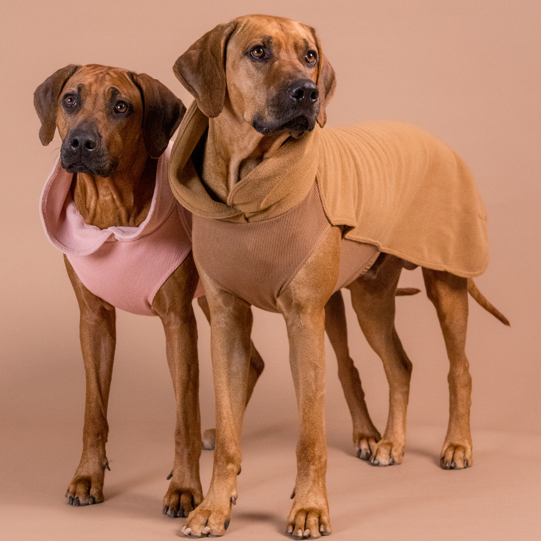 PAIKKA seawool paita koiralle, ruskea