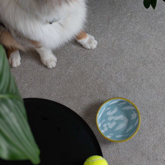 Clouds -emalikulho lemmikille