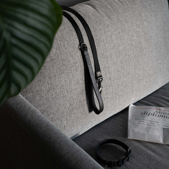 Masimalo koiran nahkainen talutin, musta