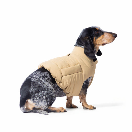 Pimpan koiran toppaliivi, beige