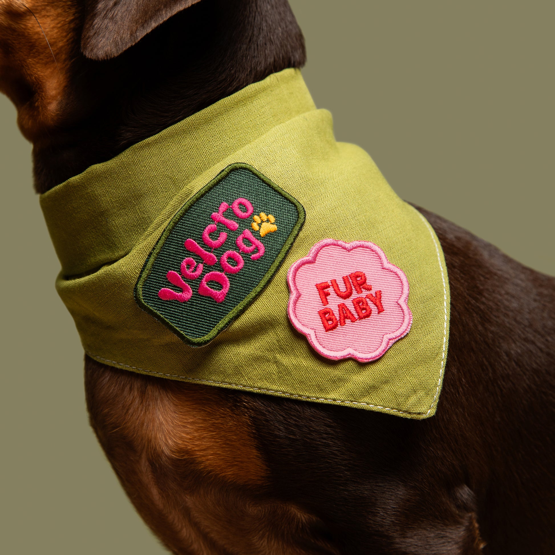 Scout's Honour partiohuivi lemmikille, olive green