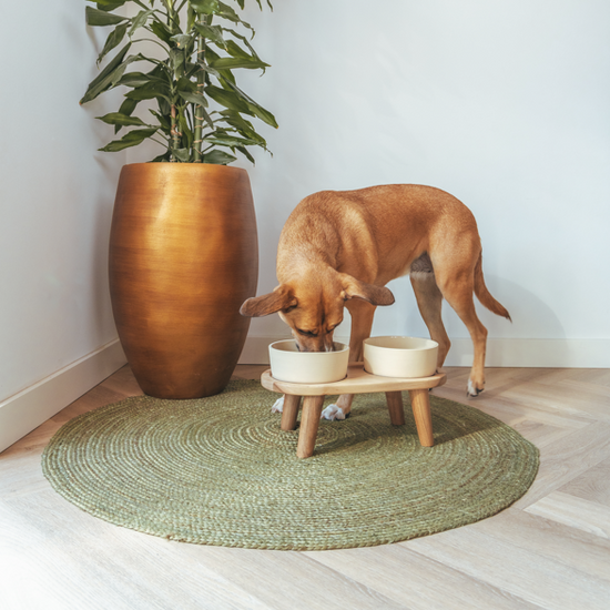 Puinen ruokakuppiteline L-kokoisille kulhoille