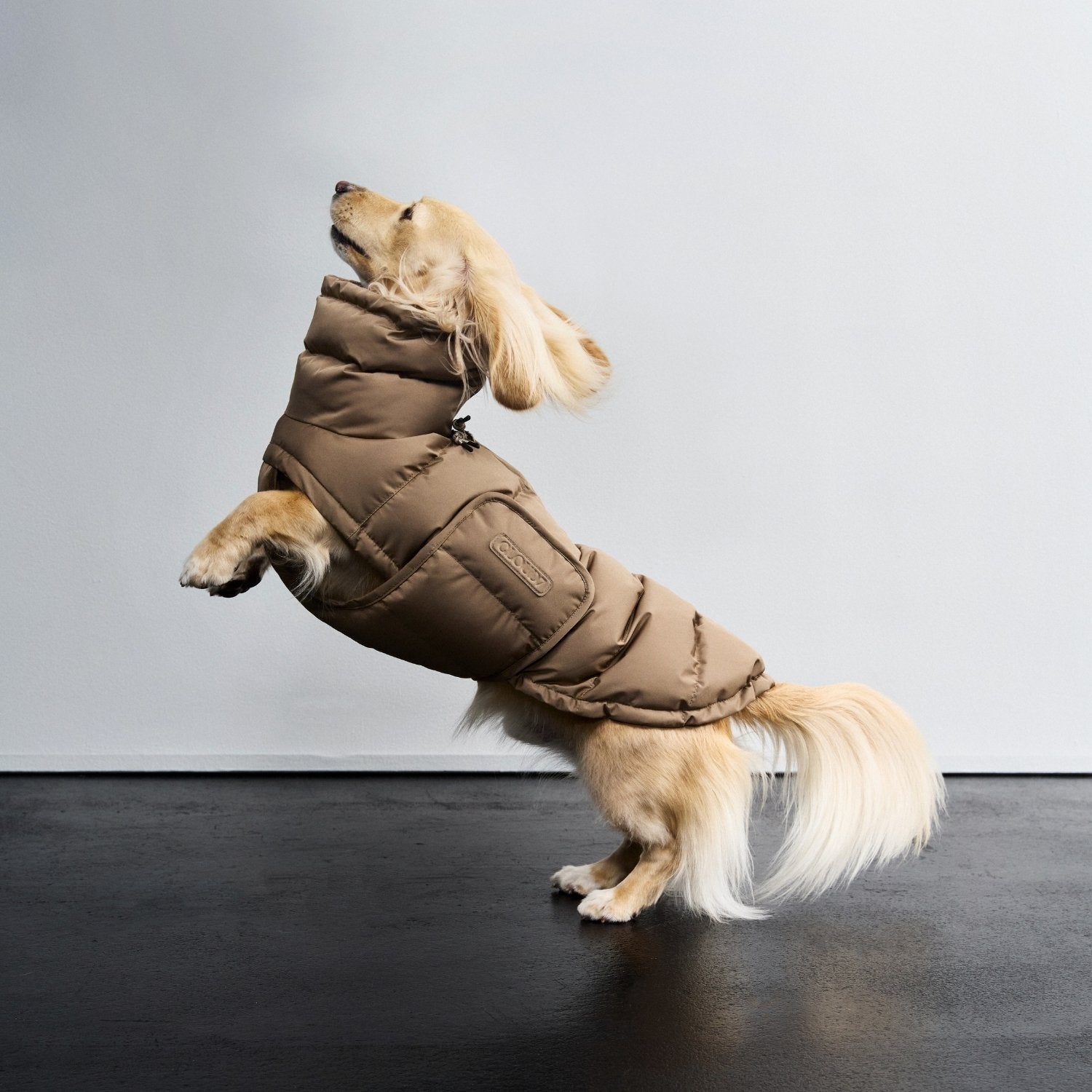 CLOUD7 Sustainable Premium Dog Products – RUFFY