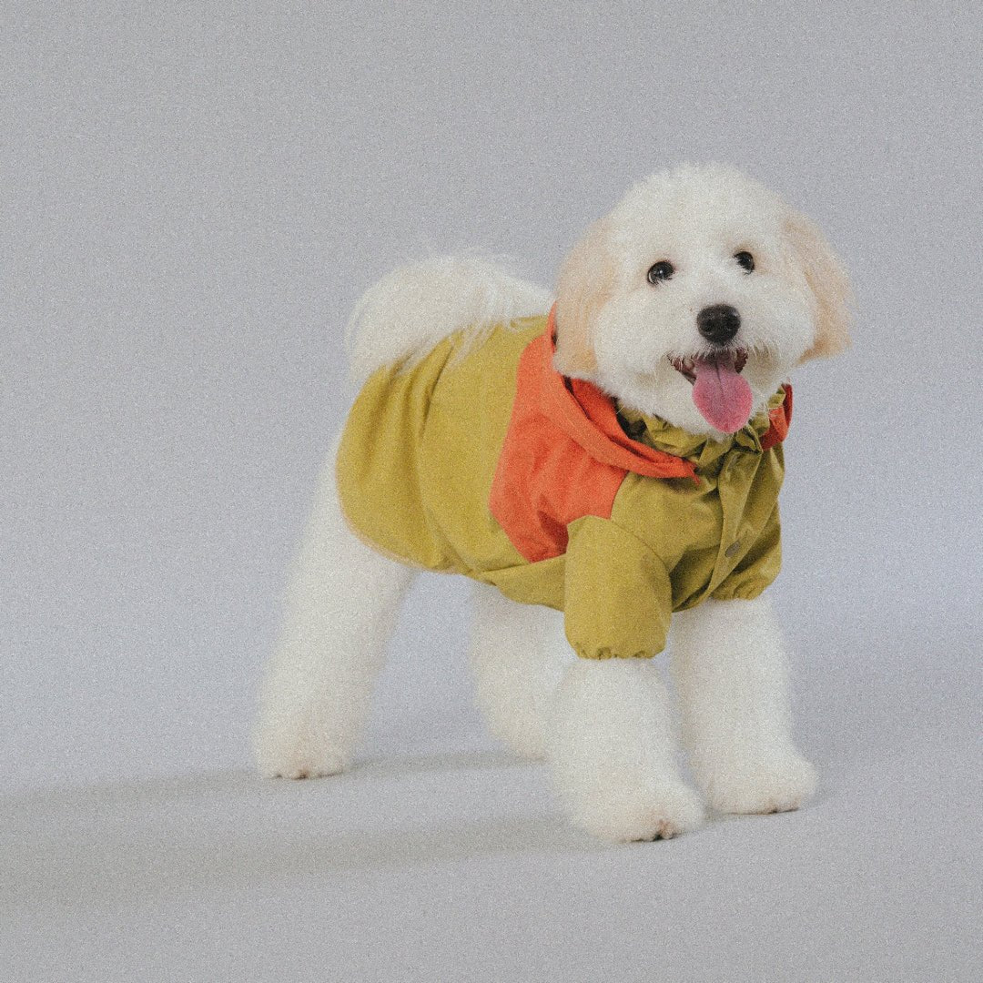 CushyCushy All - weather - koiran sadetakki, oranssi