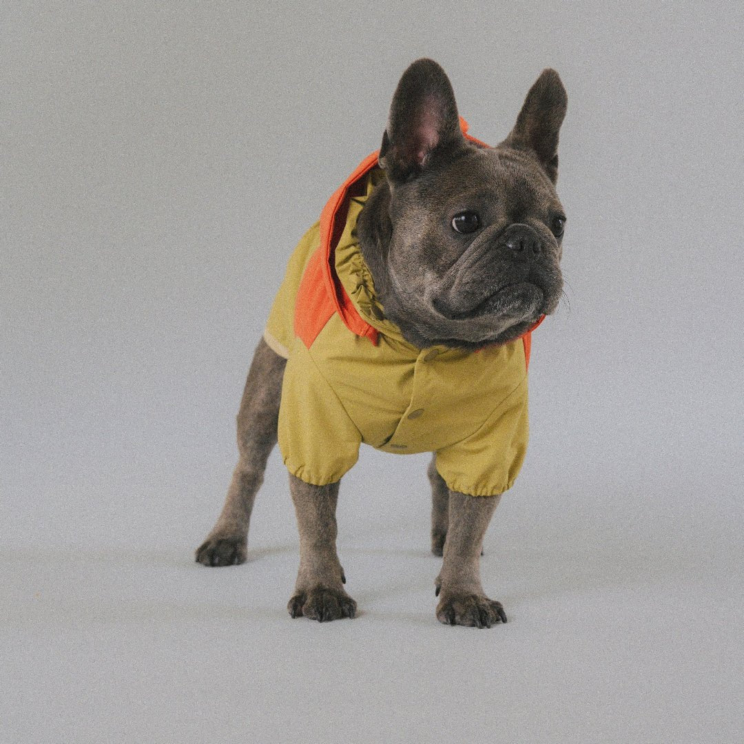 CushyCushy All - weather - koiran sadetakki, oranssi